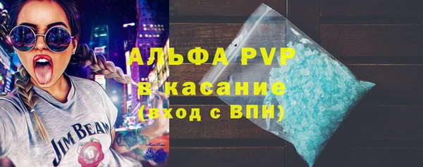 шишки Богородицк